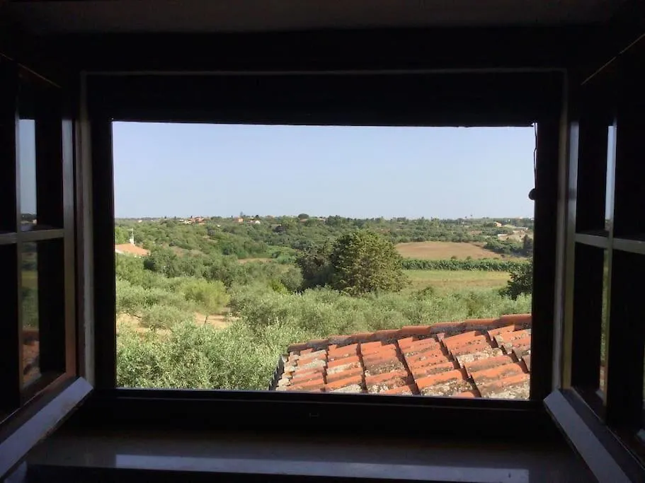 House With A Swimming Pool - Villa San Giorgio Villa Gorizia 0*,  Italy